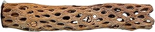 Polly's Cholla Cactus Bird Perch, Medium
