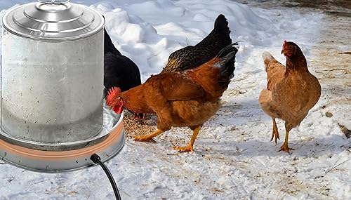 Miniatura 8 de Calentador de agua de pollo para aves de corral base de calentador de agua de pollo para invierno, para agua de aves de corral de plásticometal de