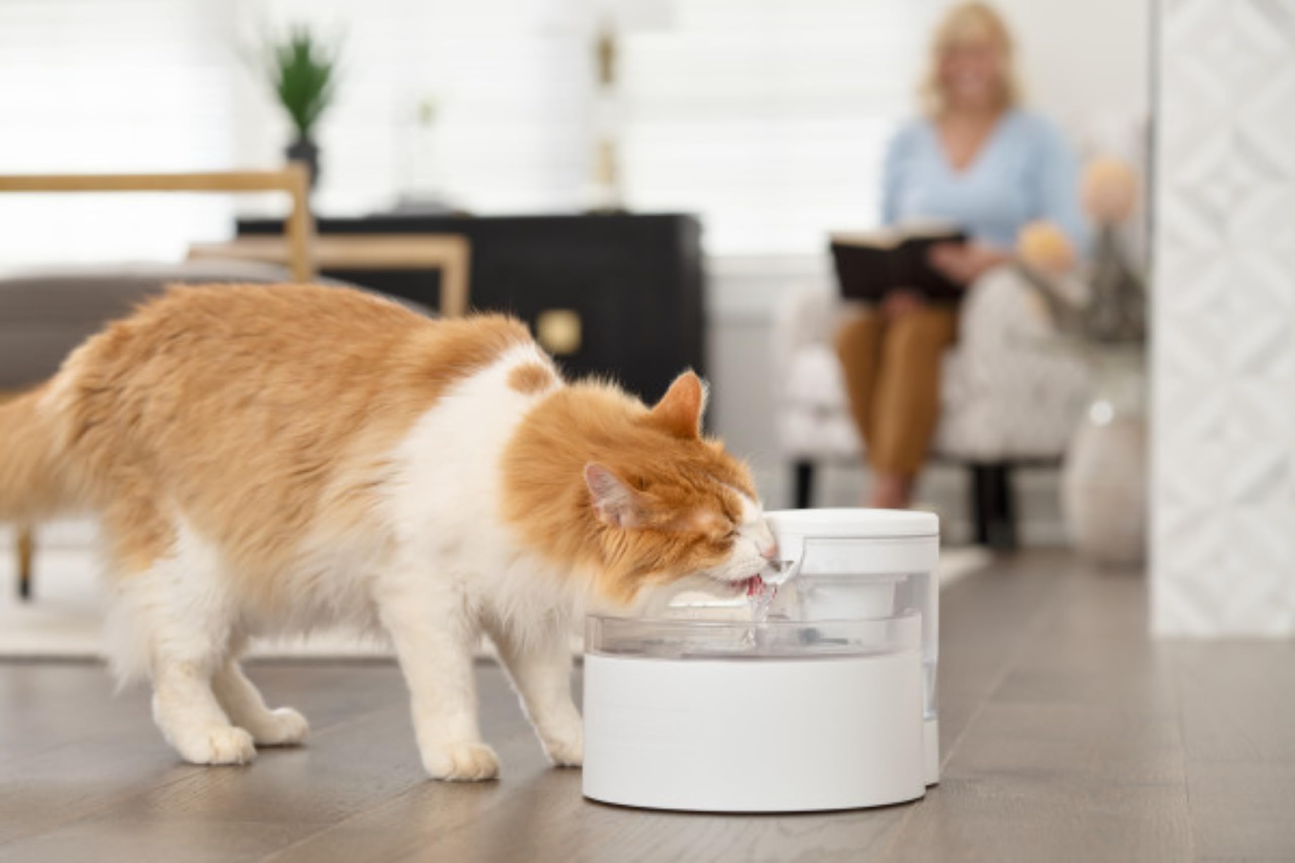 Fontana senza pompa PetSafe Outlast, 1,7 l, fontana per cani di piccola taglia e gatti, lavabile in lavastoviglie, facile da montare e pulire, filtro dell'acqua incluso