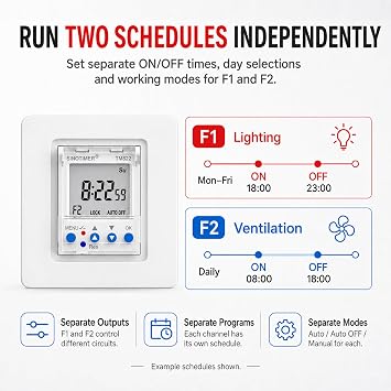 Dual Channel Programmable Timer Switch, 2CH Digital Timer Relay, 12V DC 16A, 7 Days Weekly Timer, with LCD Display Panel/Wall Mount