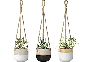 Dahey 3-Pack Hanging Planters: Compact Cement Pots for Mini Plants