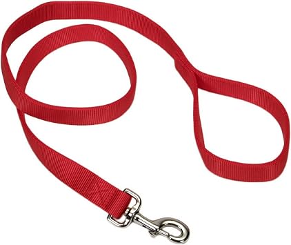 Coastal Pet Double-Ply Dog Leash - Bolt Snap Attachment to Collars and Harnesses - Nylon Dog Walking Leash for Small, Medium and Large Dogs - Red - 1" x 4