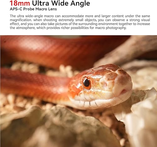 Miniatura 3 de AstrHori Lente de sonda macro F8 2X de 0.709 in compatible con cámaras Fuji X-Mount de marco completo, luz de anillo incorporada especial