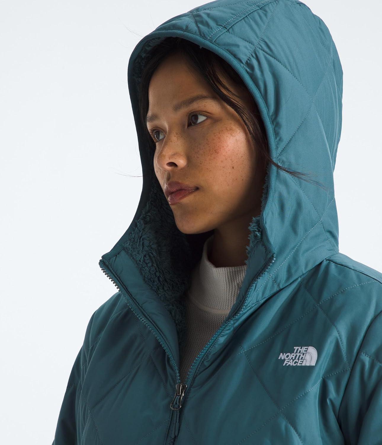 THE NORTH FACE Women's Shady Glade Insulated Parka - NPF - Image 6