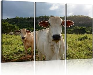 3 Piece Canvas Wall Art Prints Picture Nellore cattle Oxen foreground Brazilian livestock cow Framed Wall Painting Modern Artwork Poster Home Decor for Living Room Office Ready to Hang