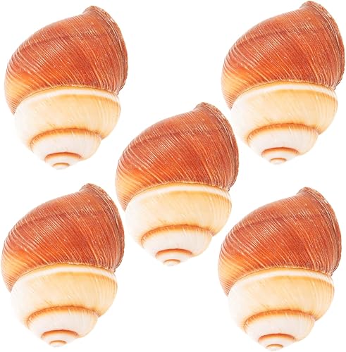 Miniatura 6 de 4 unidades de caracol gigante para Escargot Natural caracol Conchas de aislamiento térmico para cocinar 5 unids*4