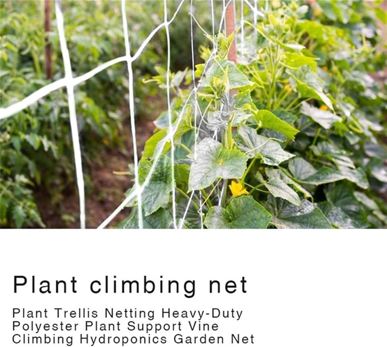 Climbing Plant Net Luffa Support for Morning Glory Garden Vegetable Growth Trellis Cucumber Climbing Net for Garden and Greenhouse (1.67x5m)