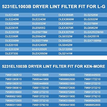 AMI PARTS 5231EL1003B Dryer Lint Filter
