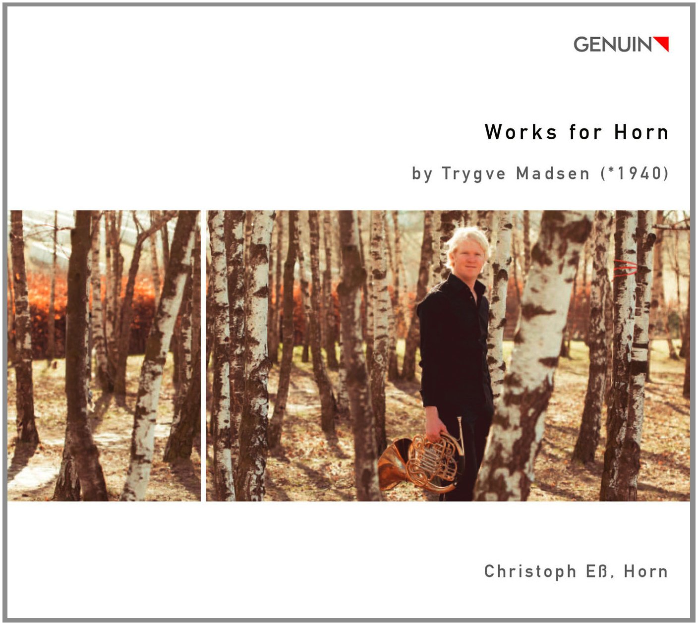WERKE FÜR HORN