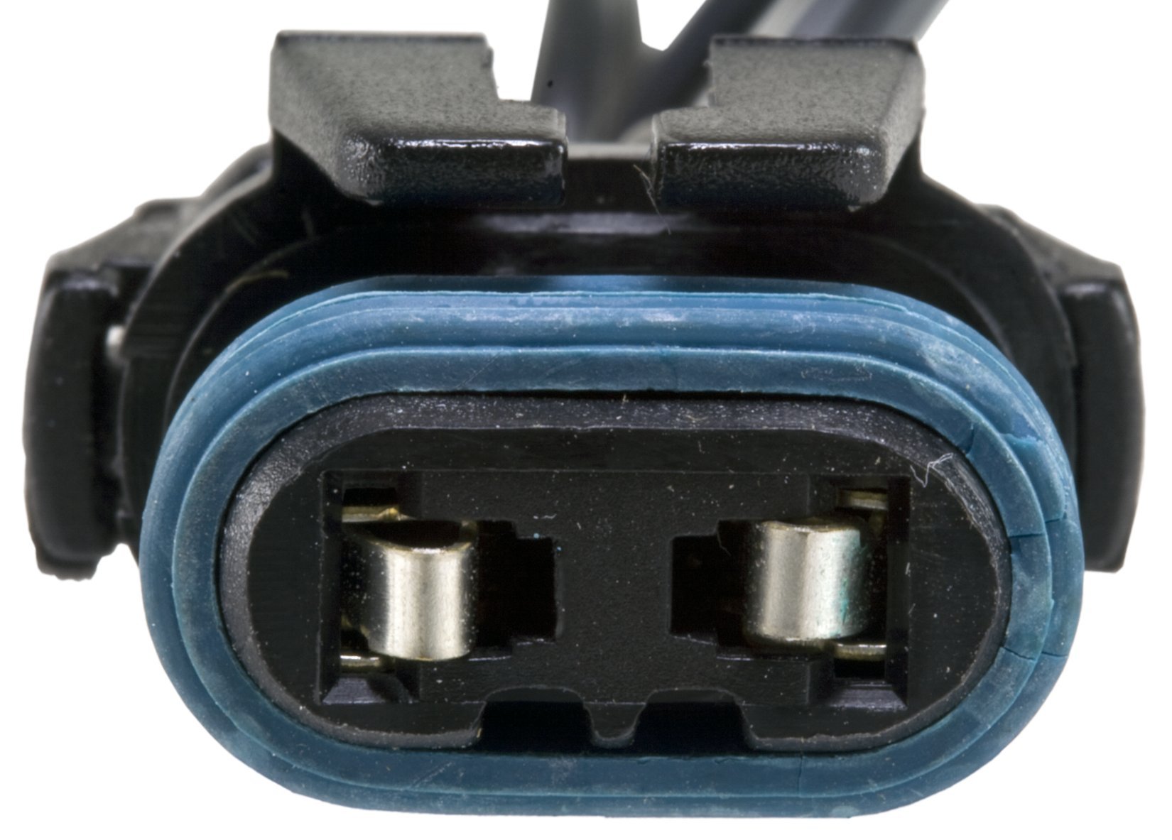 Amazon.com: WVE by NTK 6S1047 Fog Light Connector, 1 Pack