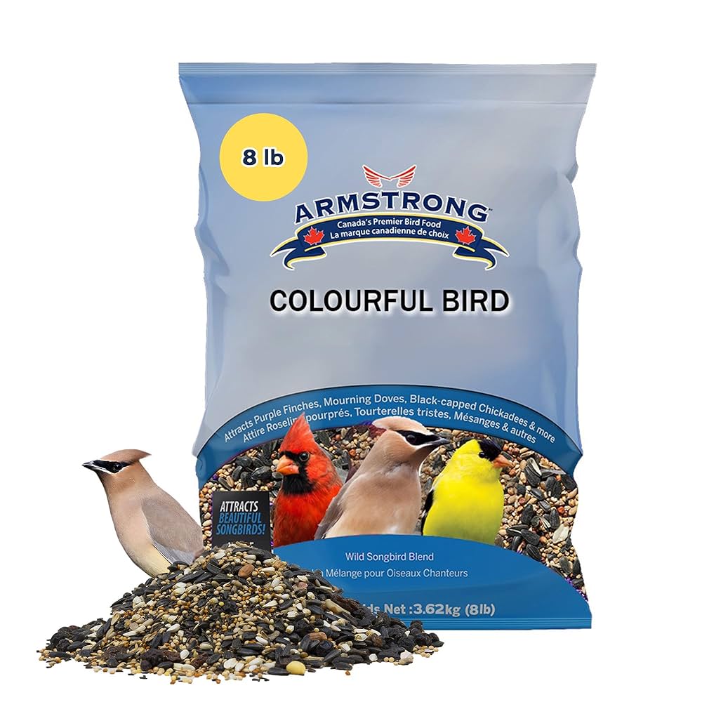 Amazon.com: Armstrong Wild Bird Food Colourful Blend, 8