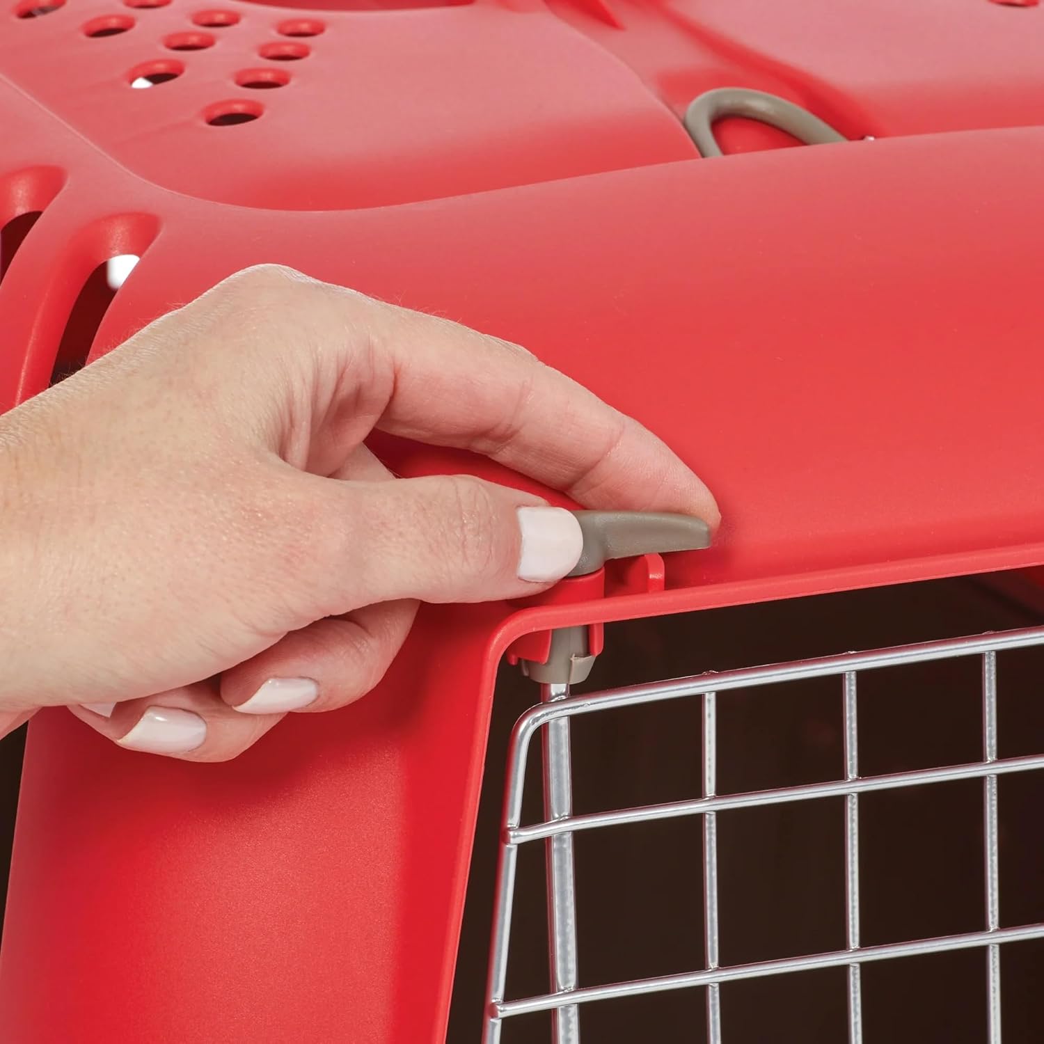 Hard-Sided Pet Carrier, 19-Inch for Small Dogs & Cats, Red, 1-Door, Durable Plastic Travel Crate for pet Store & Car Trips (Red)