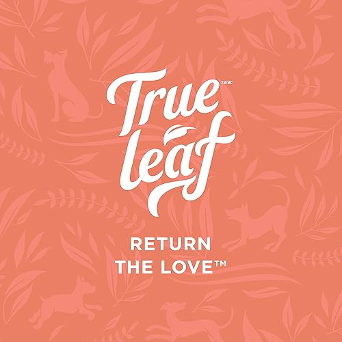 Miniatura 5 de True Leaf Pet Hemp Hip + Joint Chews 7.05 oz - Apoya la movilidad con ingredientes naturales - Polvo de semillas de cáñamo, mejillón de labios