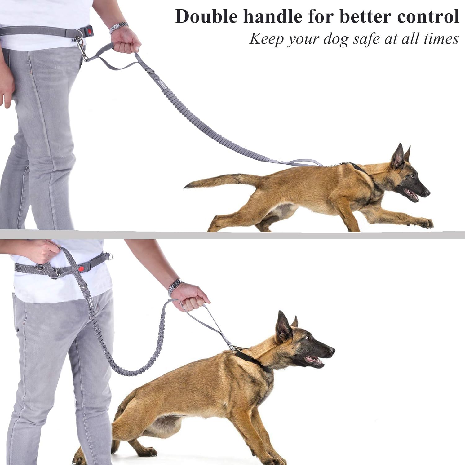 keep your dog on leash