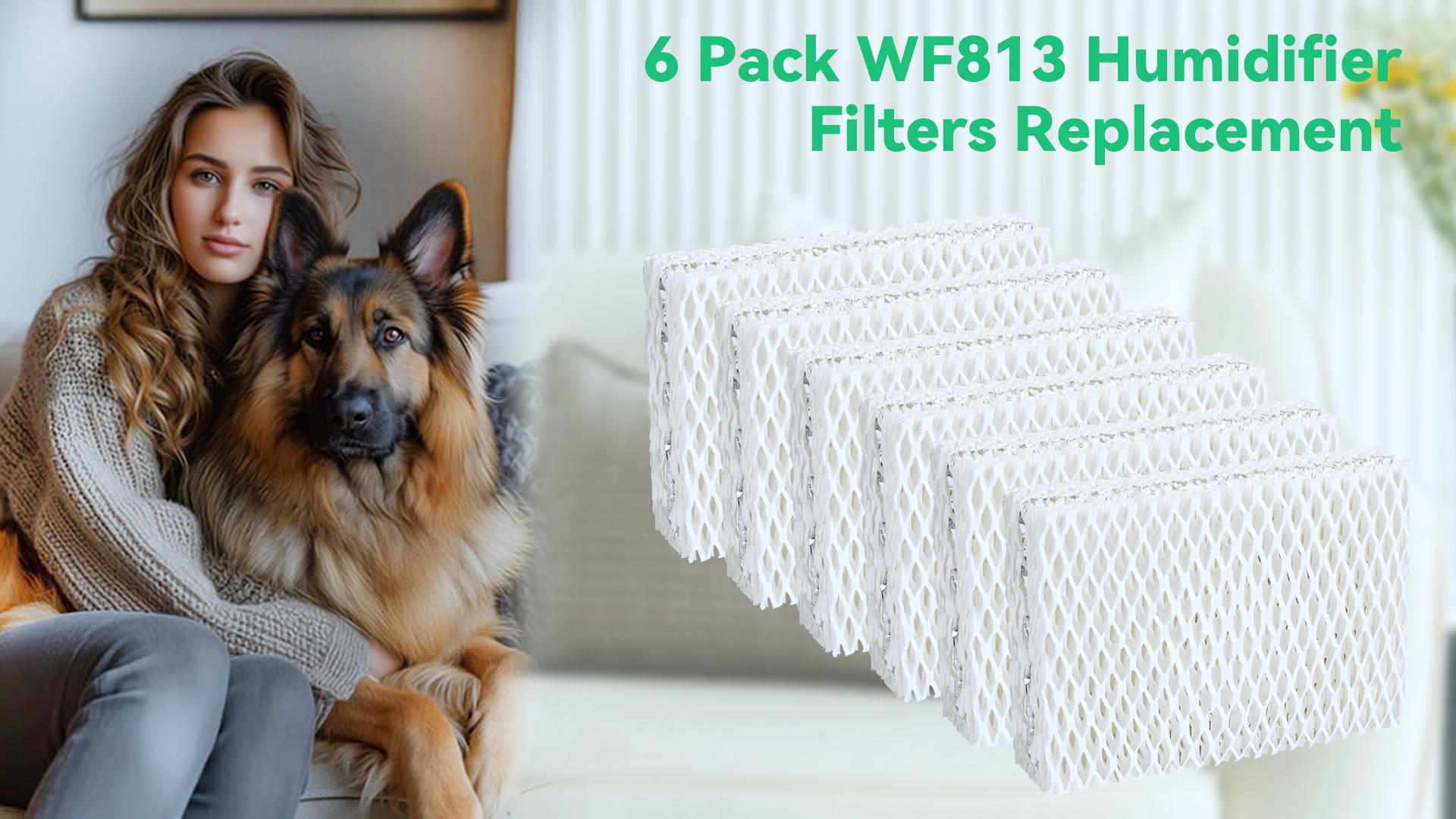 WF813 Humidifier Filters Replacement