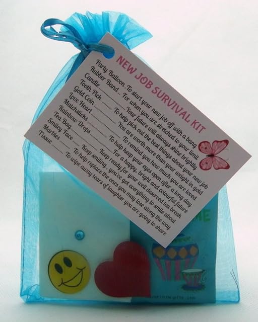 New Job Survival Kit Gift For New Job, New Career Promotion Leaving Present Thank You by clever little gifts (Turquoise)