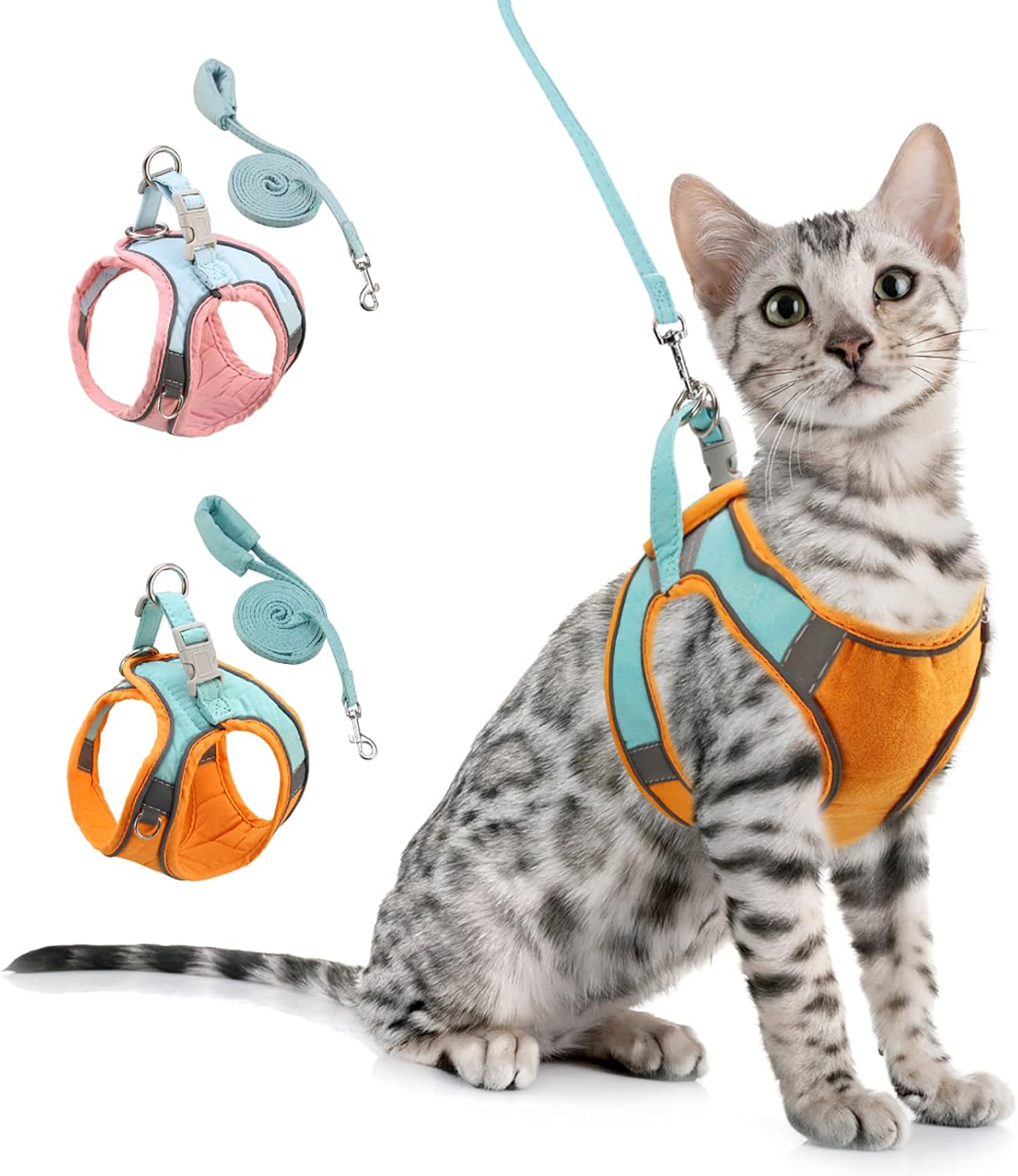 harness and leash set for cats