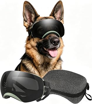 Dog Goggles for Medium to Large Breeds, Magnetic Removable Lenses with UV Protection, Dog Sunglasses with Interchangeable Lens Wide Vision & Adjustable, Black