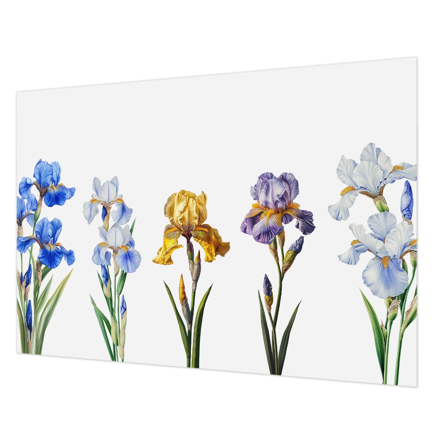 Papier peint intissé haut de gamme iris bleus Tulup grand panoramique lavable