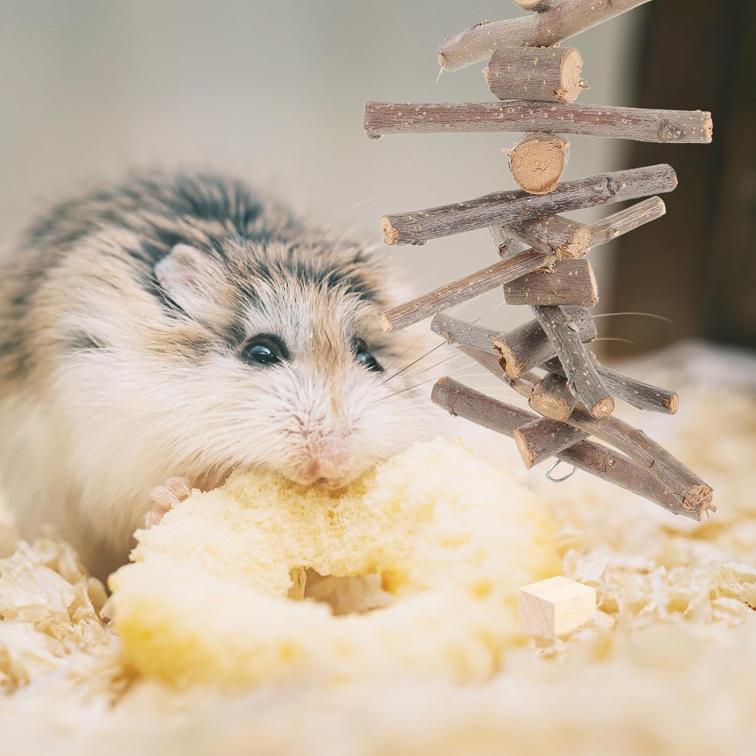 POPETPOP 1set Hamster Chew Toys and Guinea Pig Molar Toys Natural Interactive Playpen Accessories for Small Animals Random
