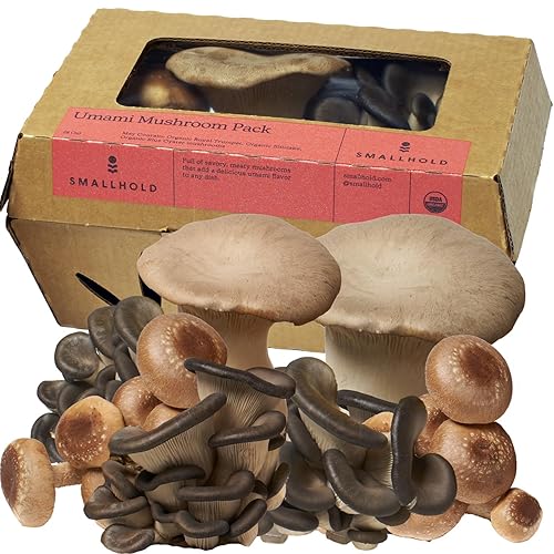 Smallhold Fresh Organic Umami Mushroom Pack – 8oz | Locally