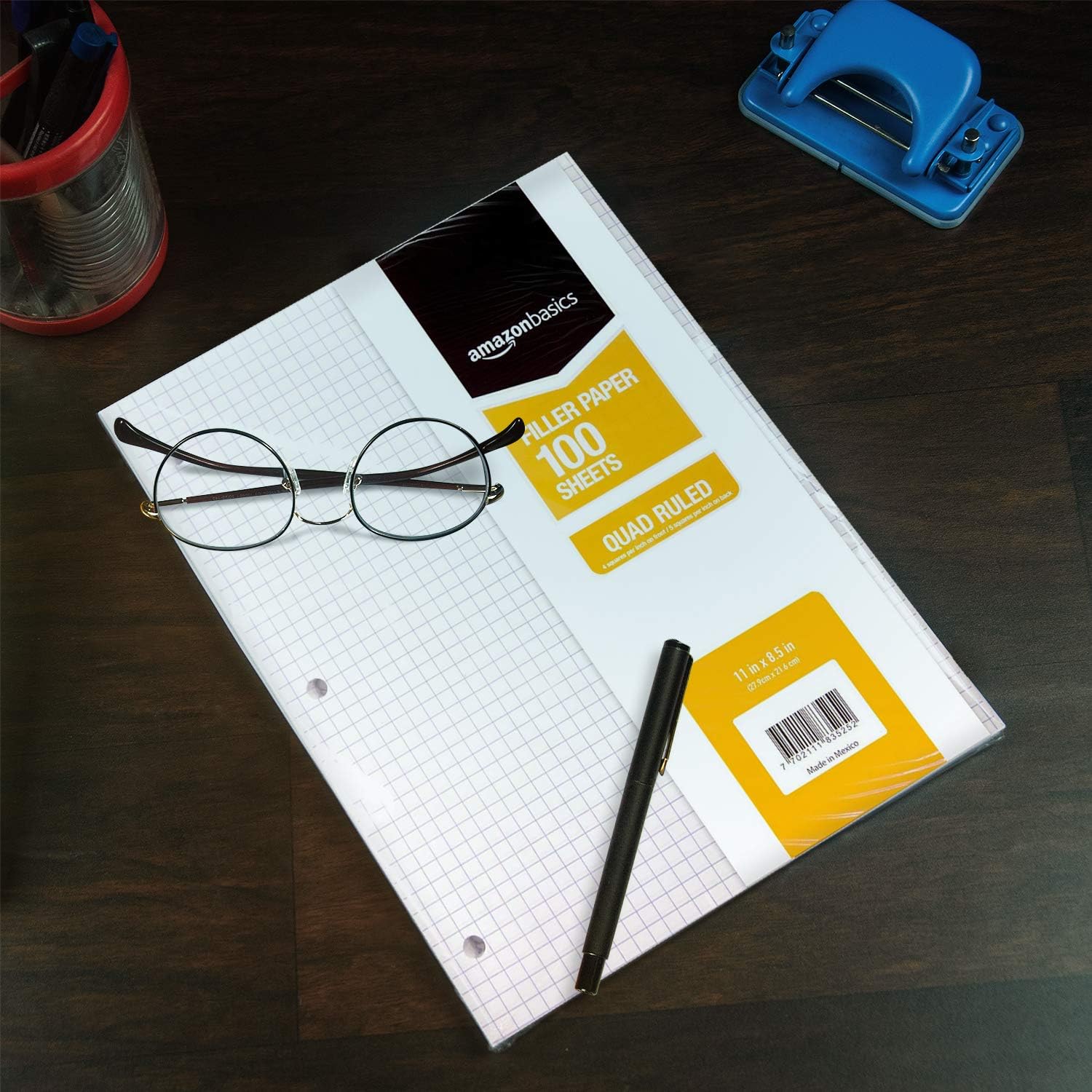  Basics Graph Ruled Loose Leaf Filler Paper, 100 Sheet, 11 x 8.5 Inch, Pack of 6 : Office Products