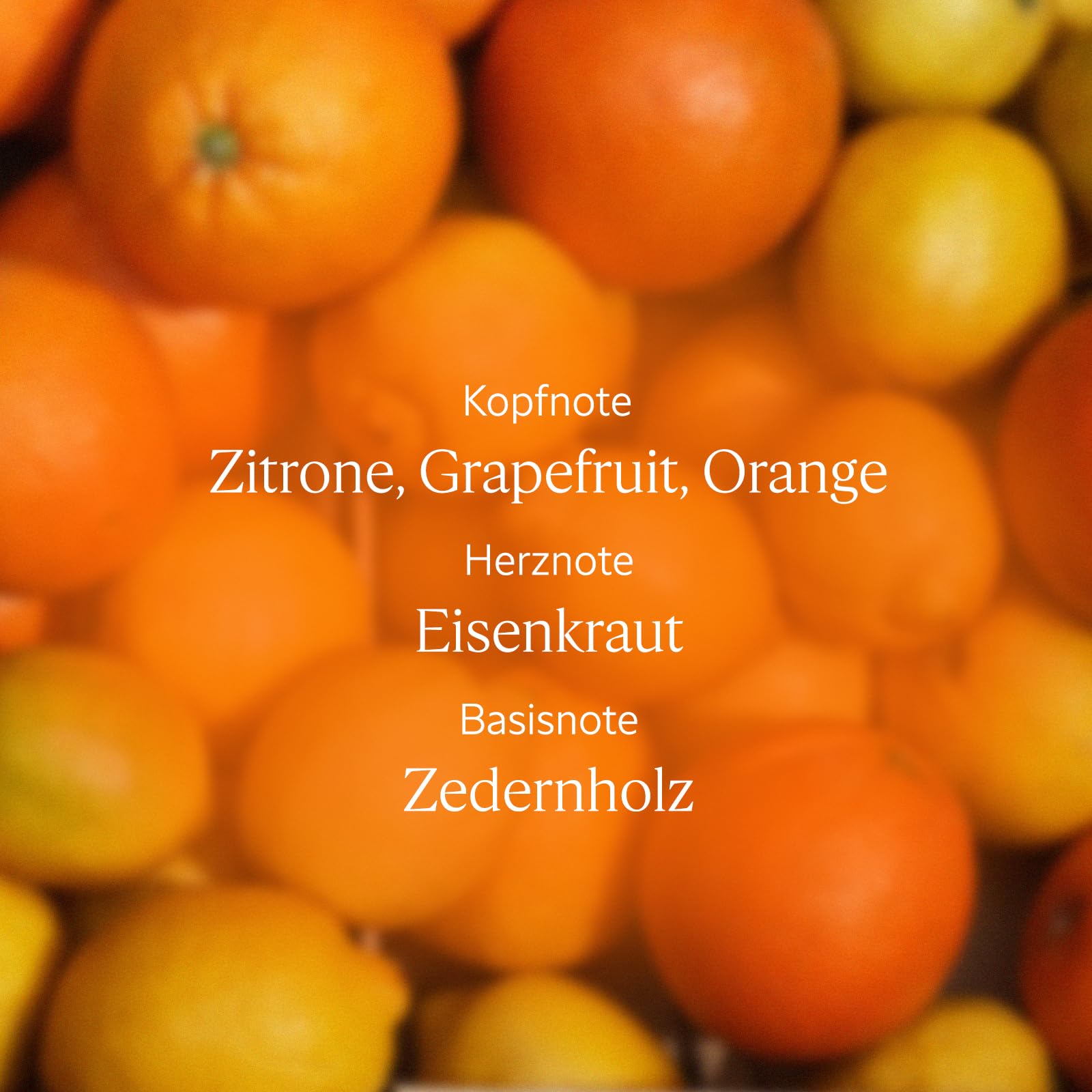 L'OCCITANE - Eau de Toilette Eisenkraut Zitrusfrüchte - 100 ml - In Frankreich hergestellt