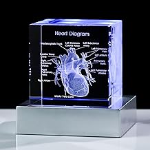 Movdyka 3D人心模型医生礼物为男人 3D激光蚀刻水晶解剖心脏雕像玻璃纸重量科学生物学内科外科医生礼物与彩色LED底座