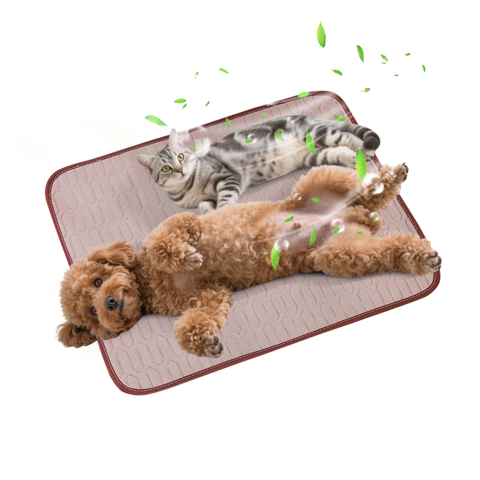 PETCUTE Cooling Mat for Dogs Cats, 2025 New Dog Cooling Gel Pad, Non-Slip, Portable and Washable Pet Cool Mat,Heat Relief,No Need to Refrigerate or Freeze, Ideal for Indoors Outdoors,M — image 1