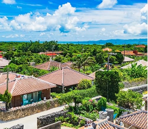竹富島日帰り観光ツアー 〜水牛車で楽しむ竹富島での過ごし方[半日/指定ホテルお送り] 071-a008