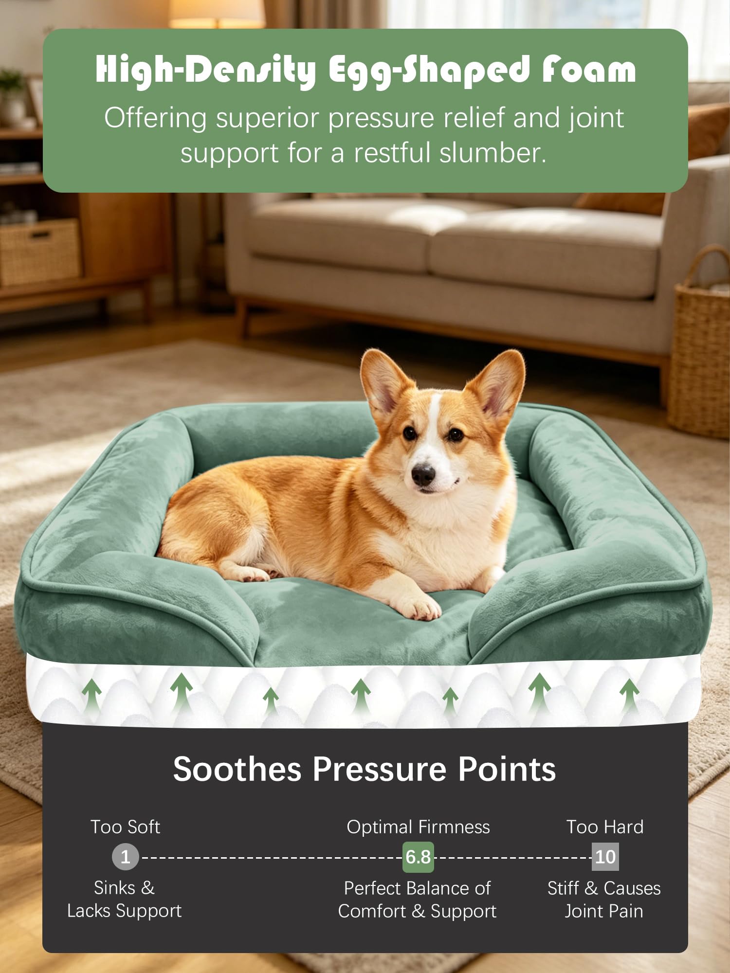 Spotted Play Orthopedic Dog Bed with Sides - Sofa Beds for Medium Dogs, Supportive Foam Pet Couch Bed with Washable Removable Cover, Waterproof Lining and Non-Slip Bottom, Green - M view 4