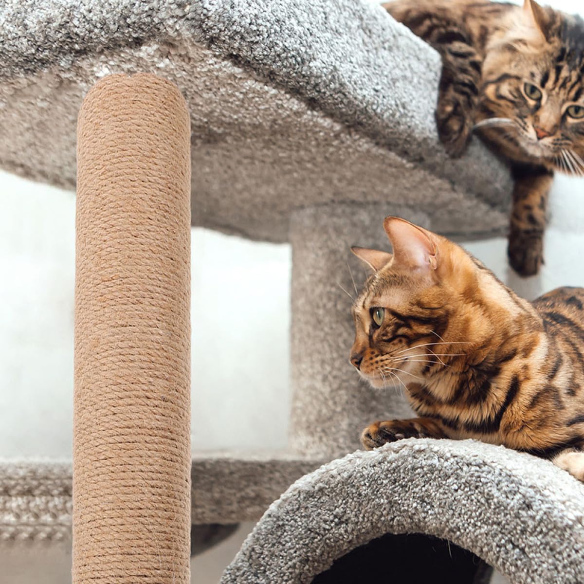 Toddmomy 2 Pezzi Tiragraffi Sostitutivi in Sisal 40 Cm, Accessori Fai da Te per Tiragraffi per Gatti da Interno, Palo Robusto per Gattini e Gatti, Risparmio Spazio per Piccoli Appartamenti