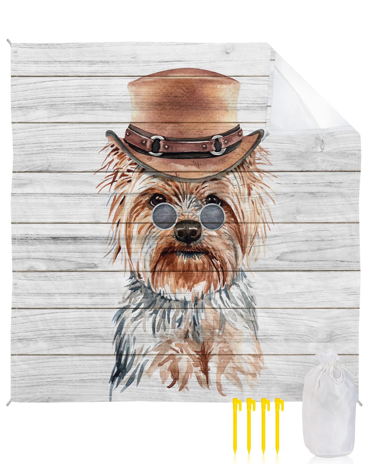 Why Do Dogs Drag Blankets Around