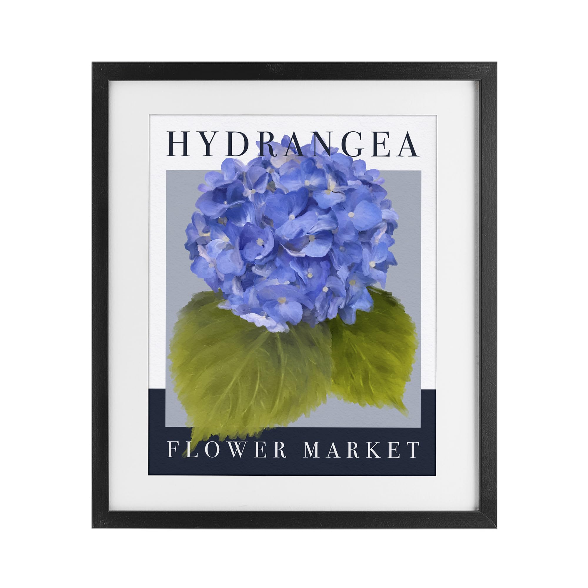 Stupell Industries Hydrangea Flower Market Blossom Hydrangea Flower Market Botanical, 17 X 21 Inch Framed Print Under Glass