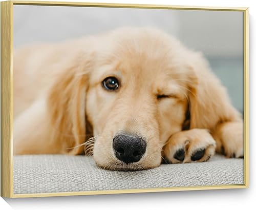 FULL HOUSE Impresiones en lienzo personalizadas con tus fotos, imagen en lienzo personalizada para familiares, mascotas, bodas, amigos, vacaciones, FULL HOUSE Impresiones en lienzo personalizadas con tus fotos, imagen en lienzo personalizada para familiares, mascotas, bodas, amigos, vacaciones,