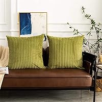 Vista 142 de UGASA - Juego de 2 fundas de almohada de terciopelo a rayas, funda decorativa para cojín con cremallera oculta para el hogar, sofá, dormitorio