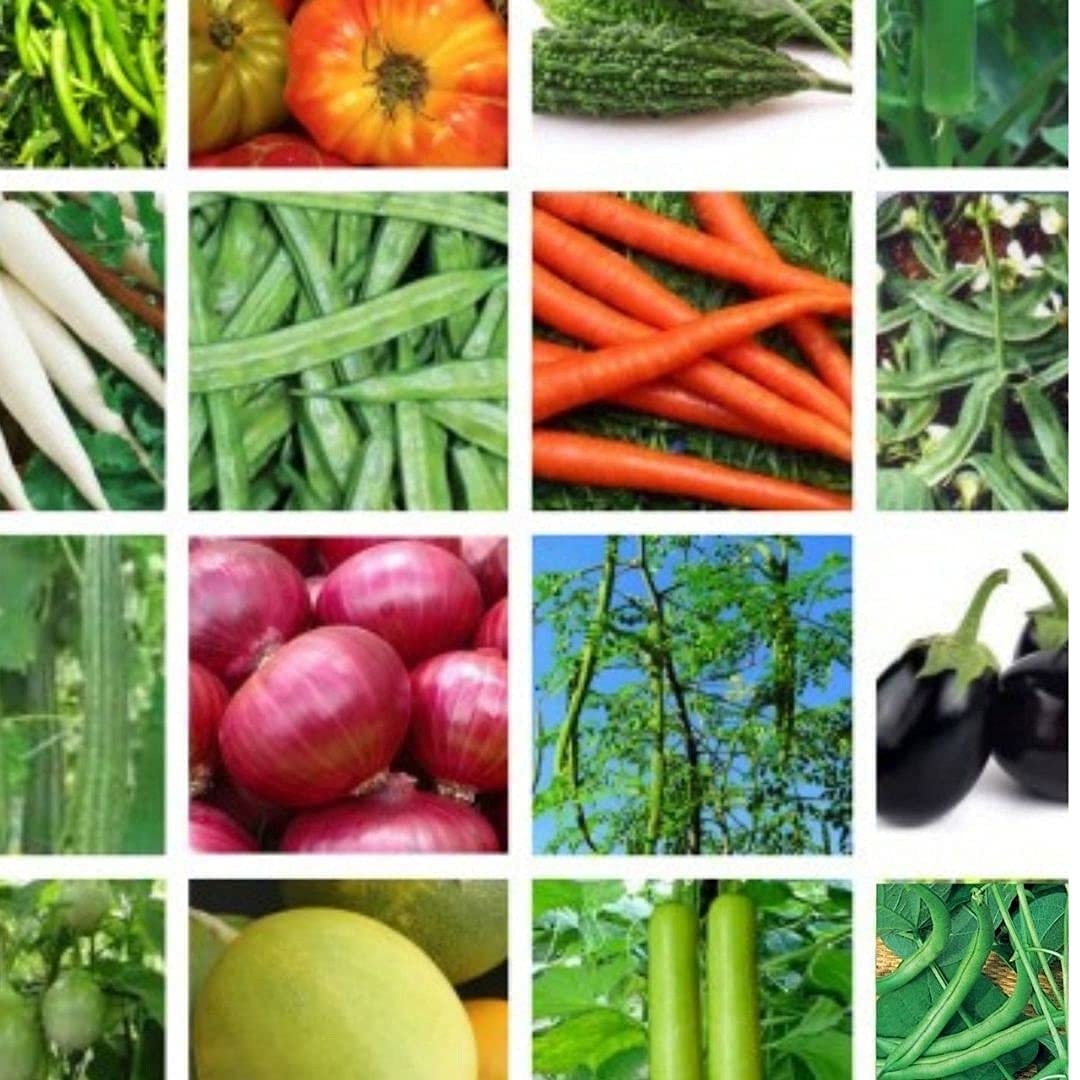 Seed Basket Native vegetable seeds With Instruction Manual (Combo Pack of 16) (B09BJVKY2N) Amazon Price History, Amazon Price Tracker