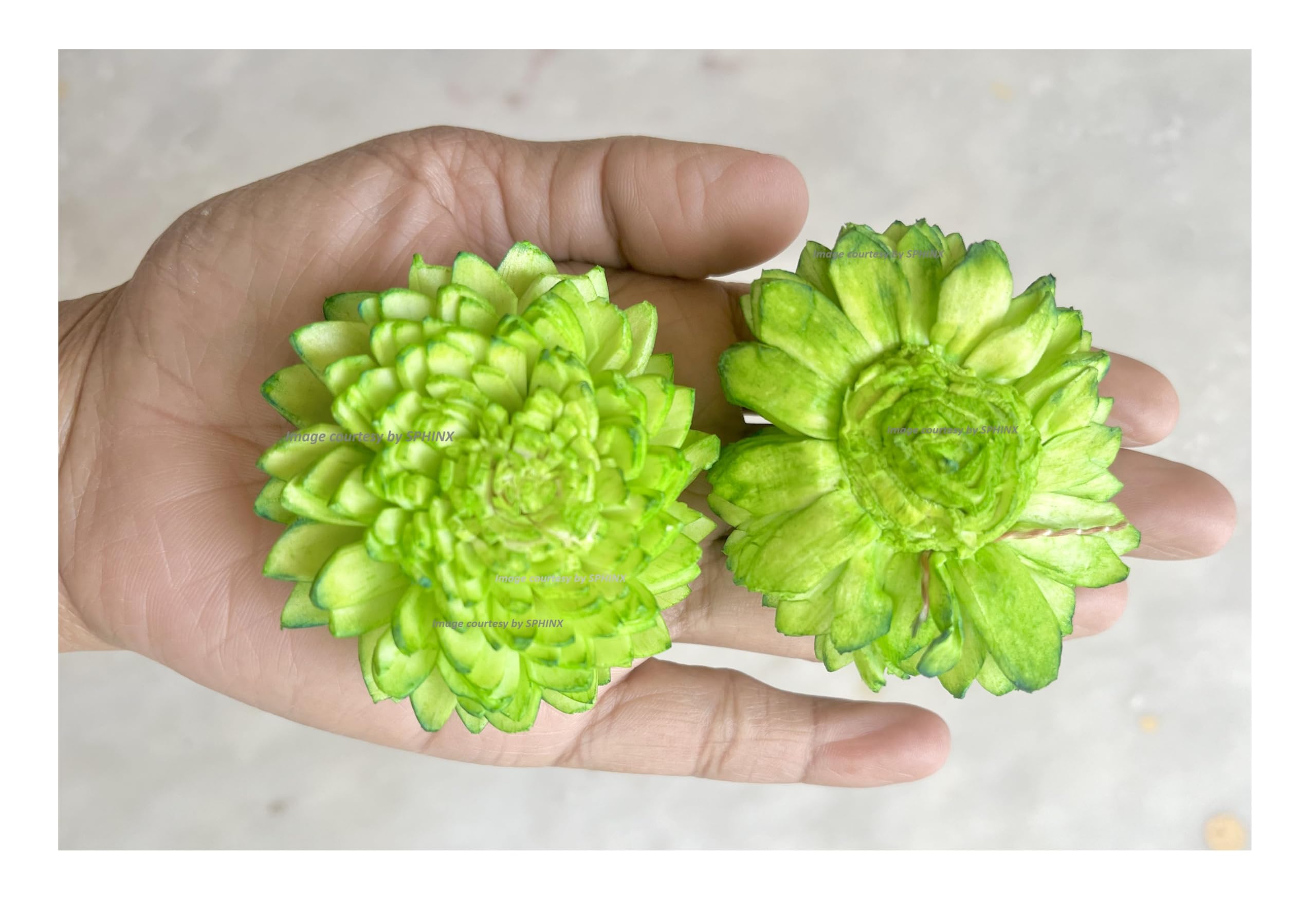 SPHINX Sola Zinnia/daisy Flowers for Festive decor, Christmas decorations Pooja decor Wedding Housewarming table decorations - (( Diameter approx 6 cms) - 10 Pieces, Sap Green)