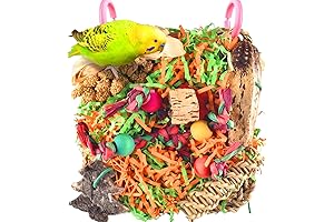 KATUMO Bird Toys for Buddies