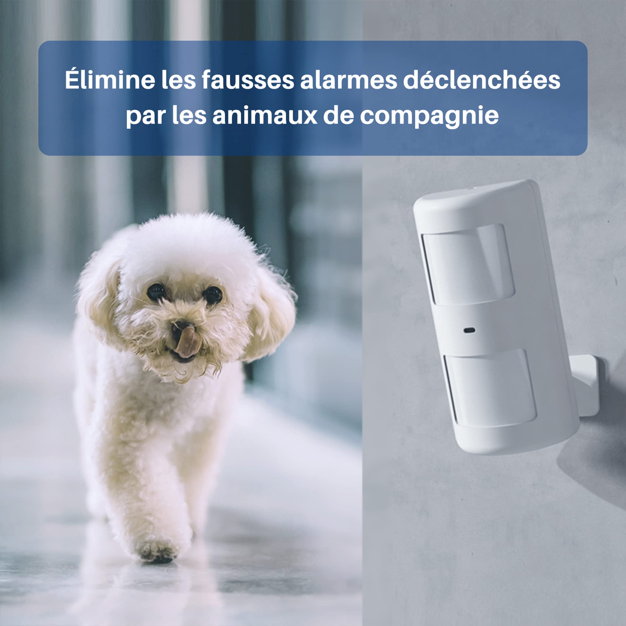 Portée 8m Angle 110 Détecteur De Mouvement Intérieur Chuango PIR-910 - Immunisé Animaux, 8m/110°, Pour Système Alarme GSM Détecteur Mouvement Sans Fil