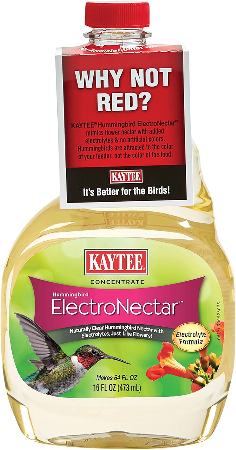The Definitive Review: Kaytee Hummingbird ElectroNectar Wild Bird Food - Why It's the Best Choice for Your Backyard