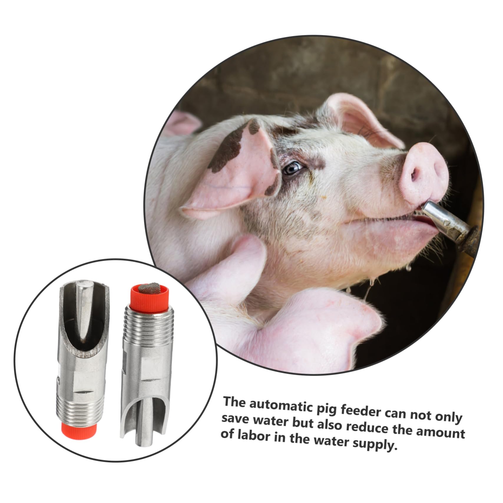 Abbeveratoio Automatico 10 Pezzi per Acciaio Inox Suinetti | Polietilene, Montaggio in Fattoria, Anti-perdita, Erogazione Automatica, Adatto a Suini e Ovini