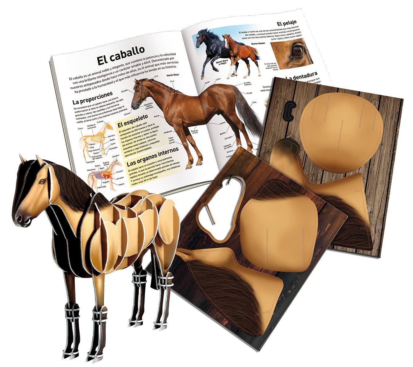 Caballo (mega Maqueta)