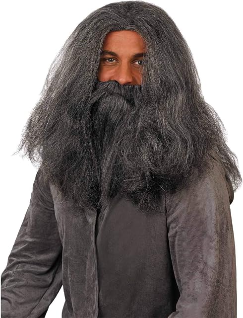 Fun Shack FNX3855 Grey Wizard Wig & Beard Set Costume, Mens, One Size