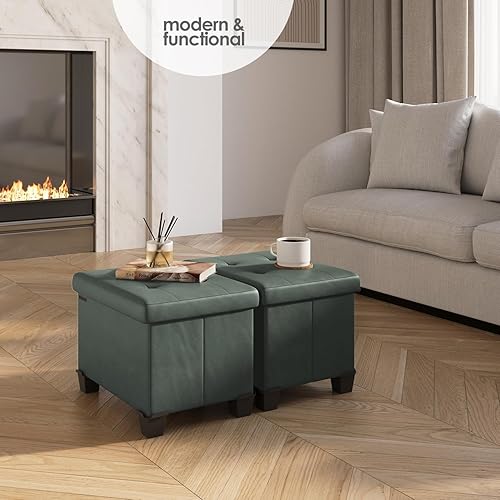 Miniatura 488 de Otomana plegable para dormitorio o sala de estar, con contenedores de almacenamiento, reposapiés para el extremo de la cama, soporta hasta 660 lb,