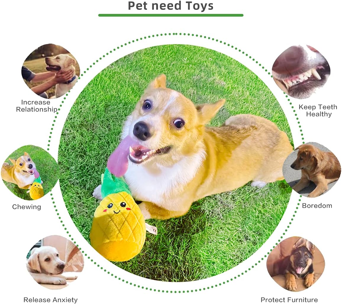 Pet Supplies : CPYOSN Dog Squeaky Toys Veggies - Soft Stuffed Plush Dog Toys for Puppy Teething, Cute Durable Crinkle Interactive Pet Chew Toys for Small and Medium Dogs Training and Reduce Boredom, 2 Pack : 