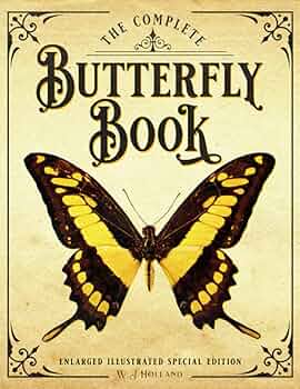 The International Butterfly Book 英語版 初版本 The International Butterfly Book 英語版 初版本