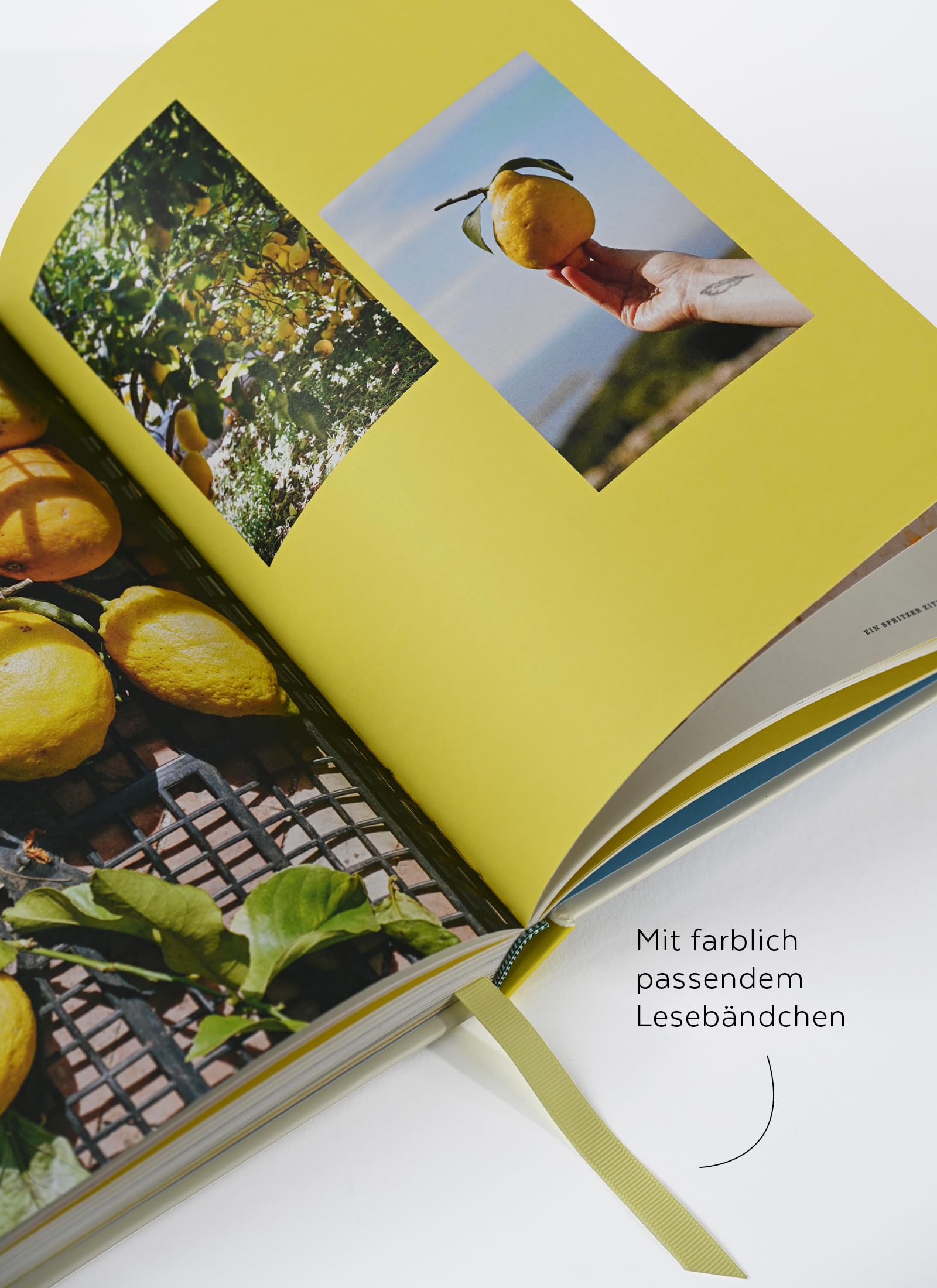 Amore al Limone: 75 Rezepte und Geschichten aus meiner italienischen Küche