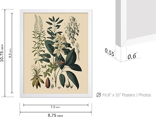 Miniatura 490 de Poster Master Póster vintage de orquídea, estampado de flores retro, arte de pared de plantas exóticas, arte botánico, regalo para hombres y
