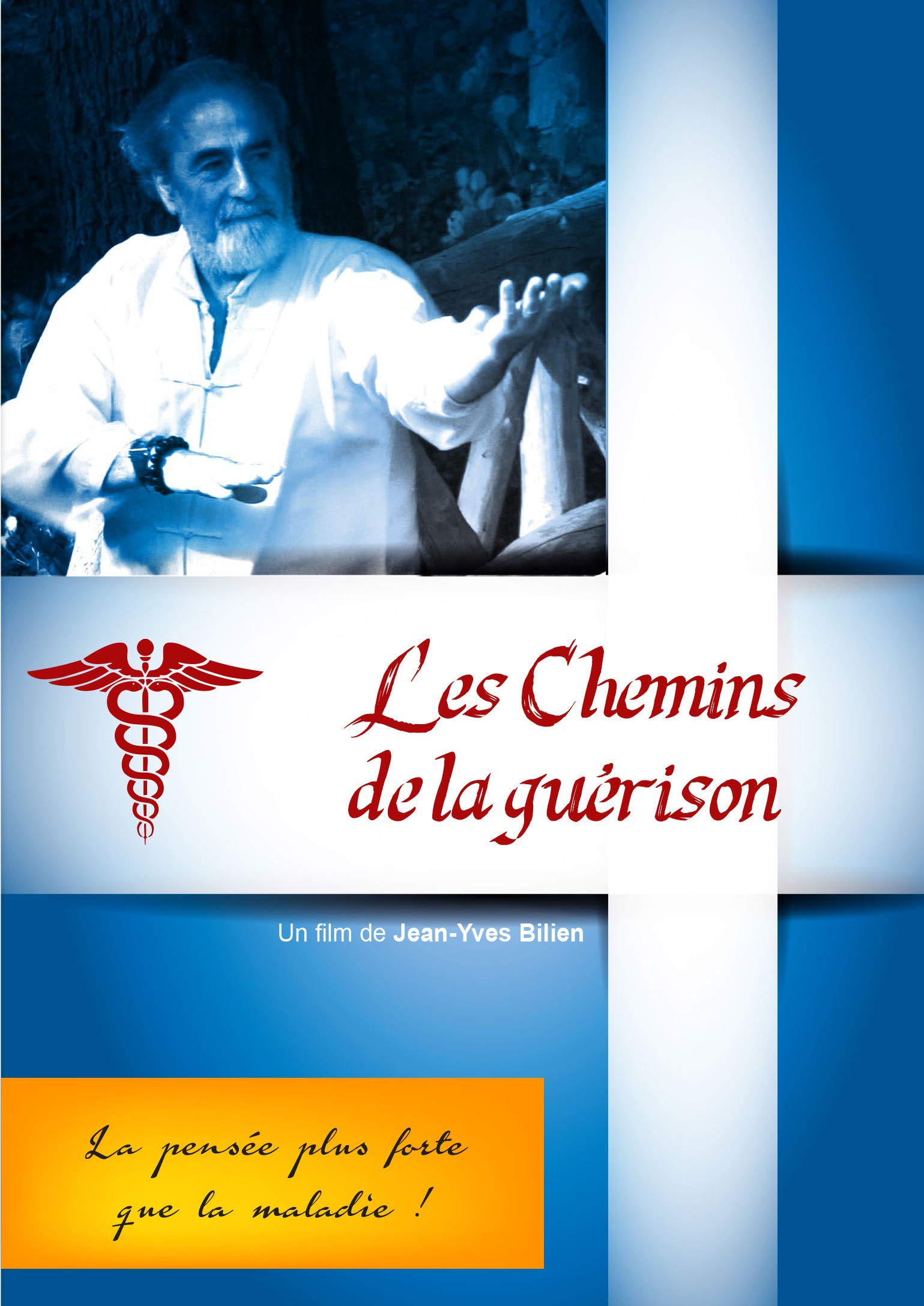Les Chemins de la Guerisson - DVD
